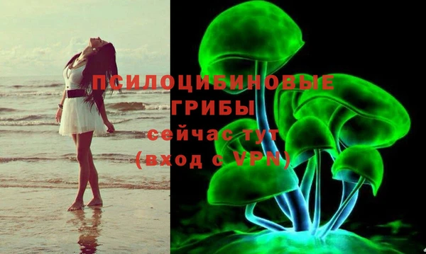 2c-b Алексеевка