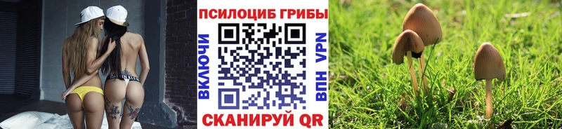 купить наркоту Краснообск omg Псилоцибиновые грибы прущие грибы